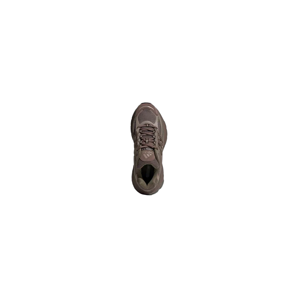 Adidas Adistar XLG 2.0 Chalky Brown