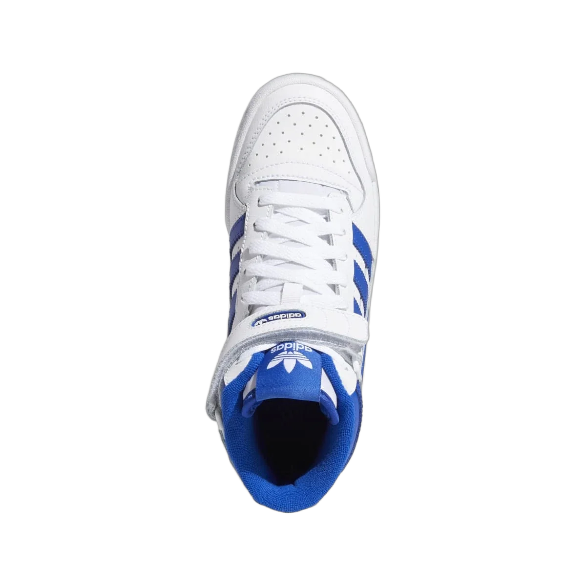 Adidas Forum Cloud White Royal Blue
