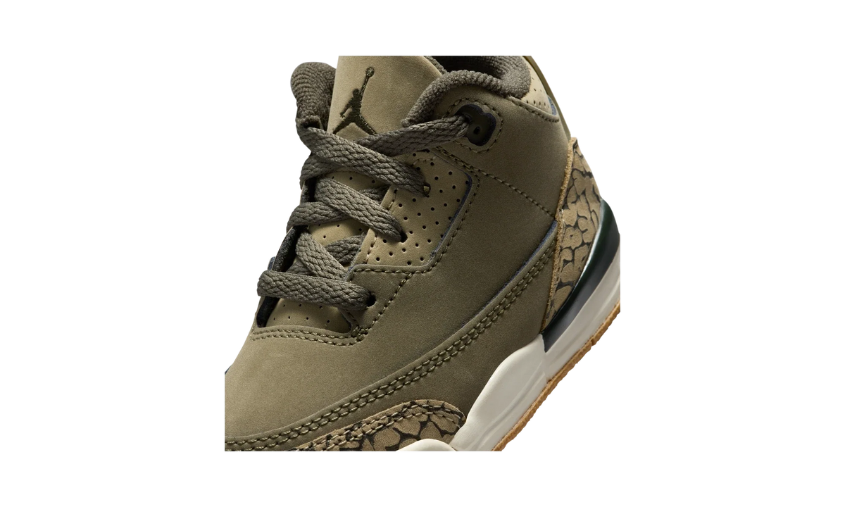 Air Jordan 3 Retro Family Affair (TD)