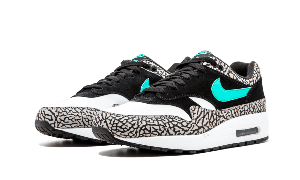 Air Jordan 3 Retro & Nike Air Max 1 atmos Pack