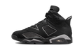 Air Jordan 6 Retro Cap and Gown
