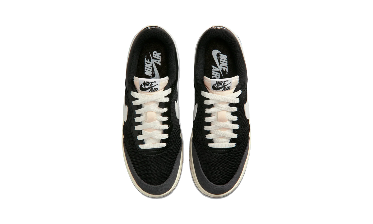 Air Jordan Skyline Low Black Summit White Gum