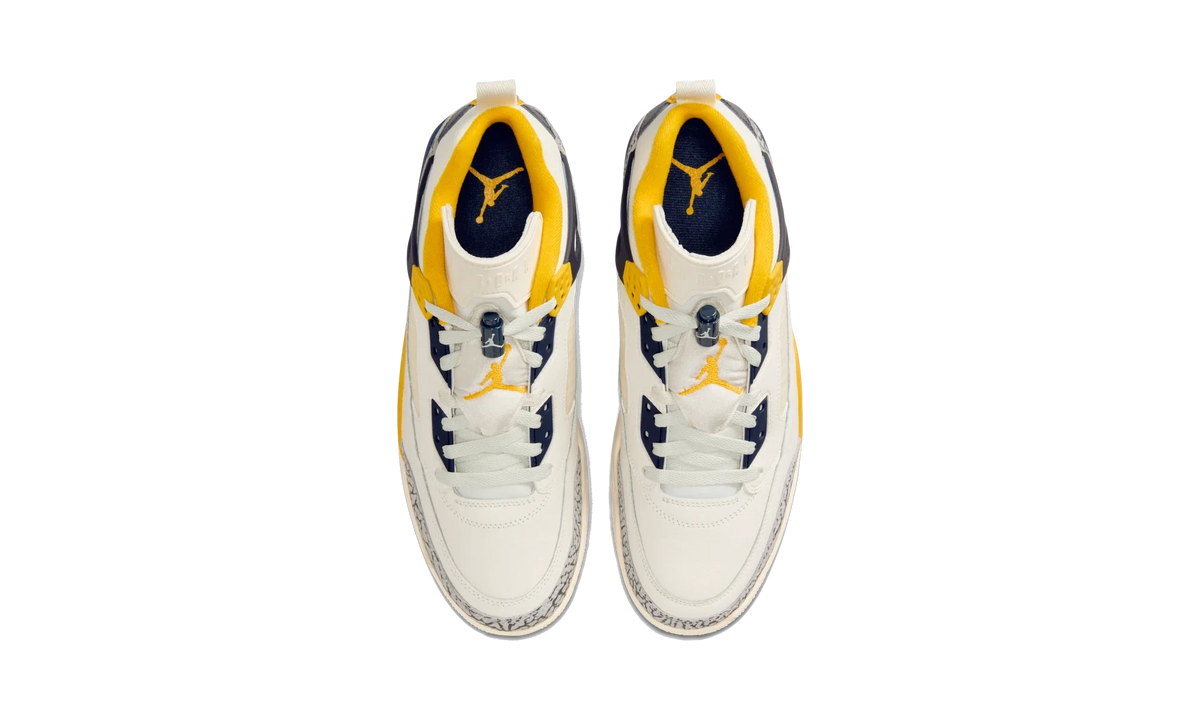 Air Jordan Spizike Low Michigan