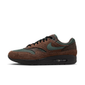 Nike Air Max 1 Beef and Broccoli
