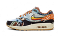 Nike Air Max 1 SP Concepts Heavy