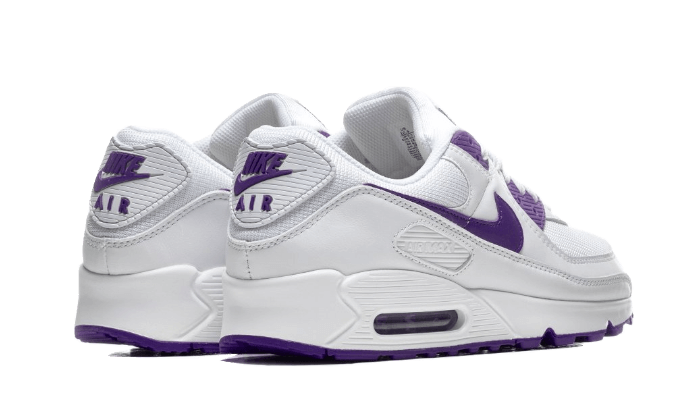 Nike Air Max 90 Color Pack Court Purple