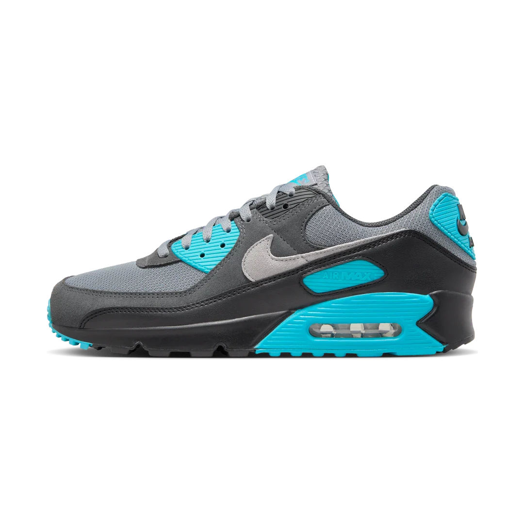 Nike Air Max 90 Cool Grey Dusty Cactus Black Wolf Grey, Cool Grey/Dusty Cactus/Black/Wolf Grey (DM0029-013)