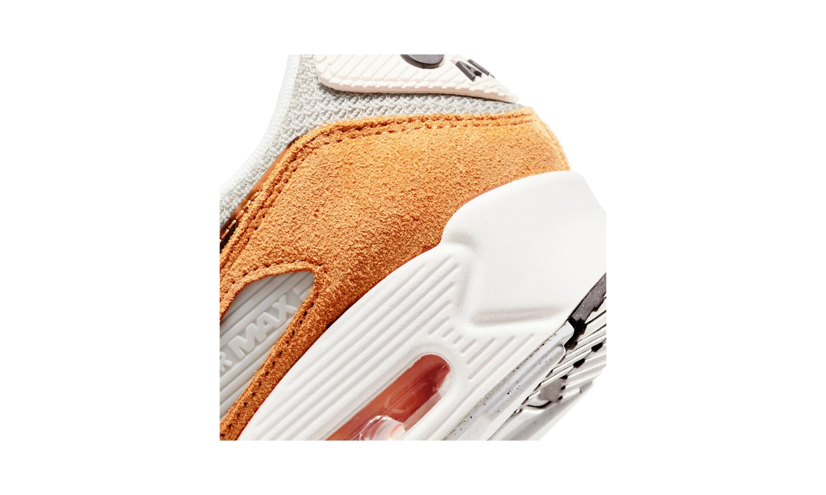 Nike Air Max 90 Leopard (2022)