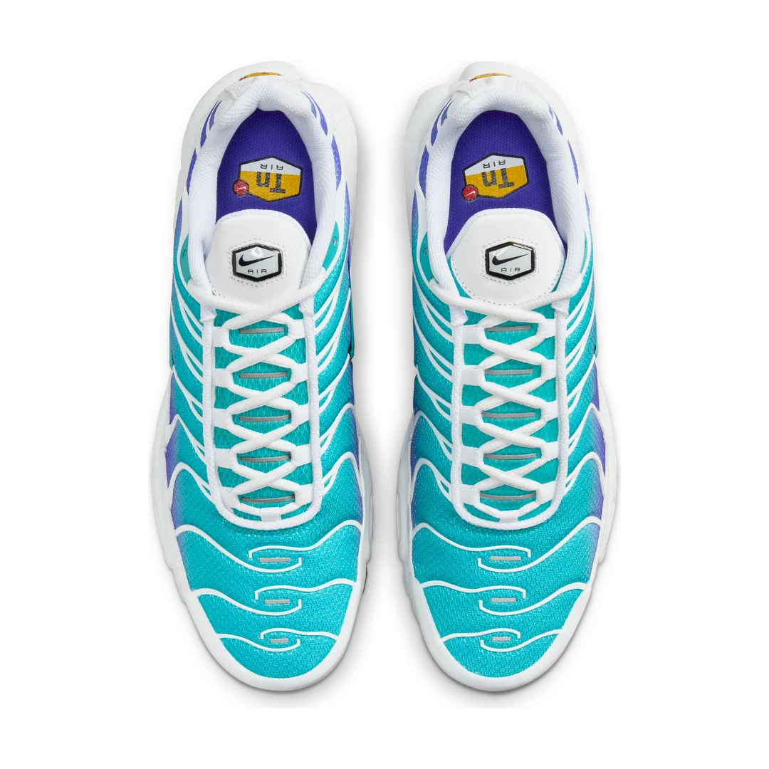 Nike Air Max Plus Aqua, White/Persian Violet/Black/Dusty Cactus (DM0032-102)