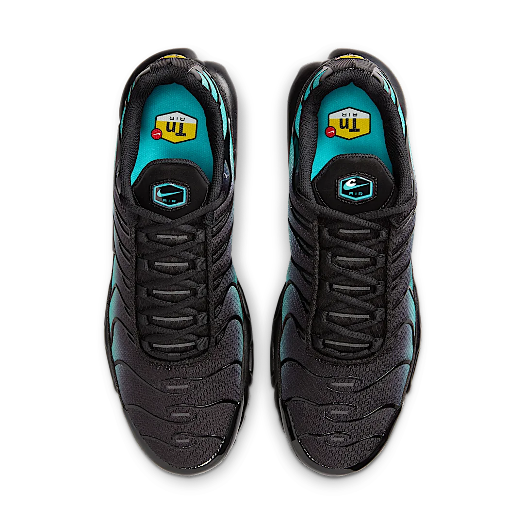 Nike Air Max Plus Black Dusty Cactus, Black/Dusty Cactus/Black (DM0032-016)