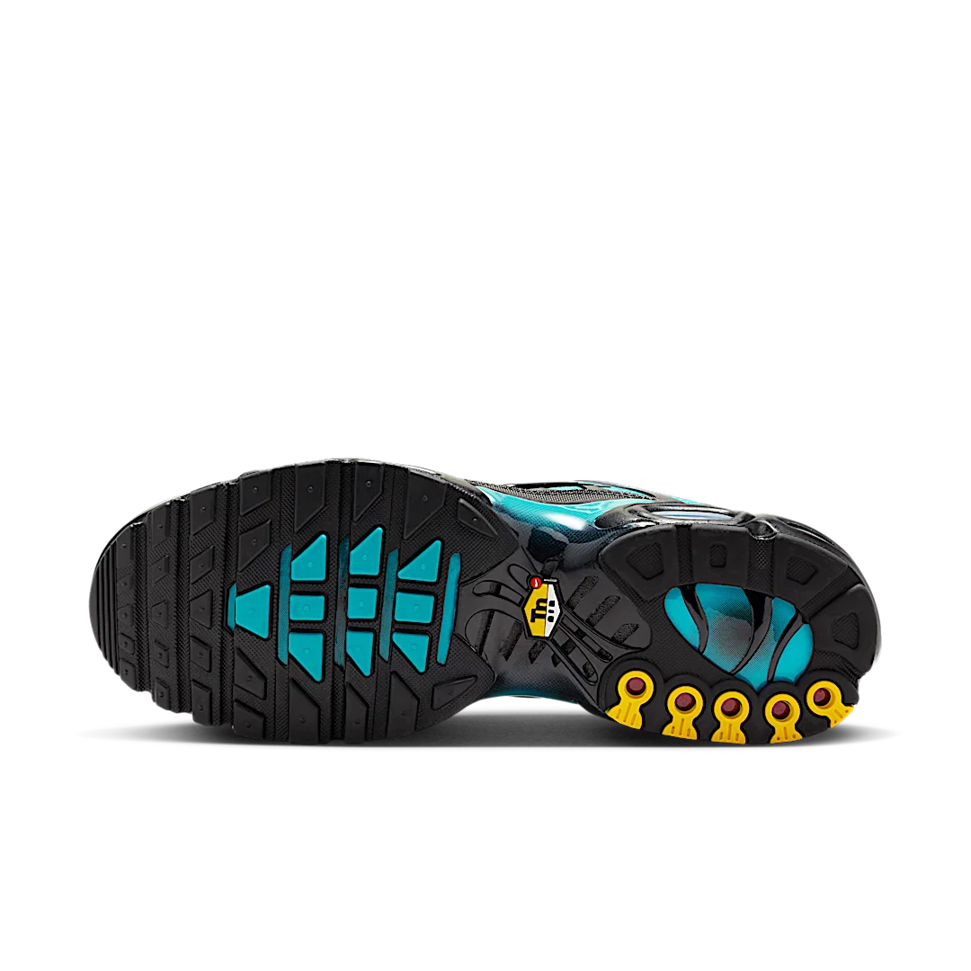 Nike Air Max Plus Black Dusty Cactus, Black/Dusty Cactus/Black (DM0032-016)