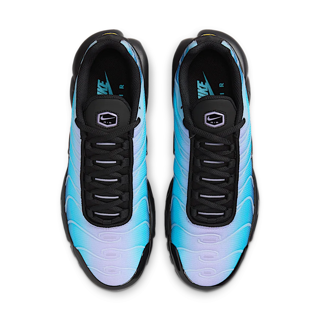 Nike Air Max Plus Black Hydrangeas, Black/Hydrangeas/Football Grey/Black (HV2510-001)