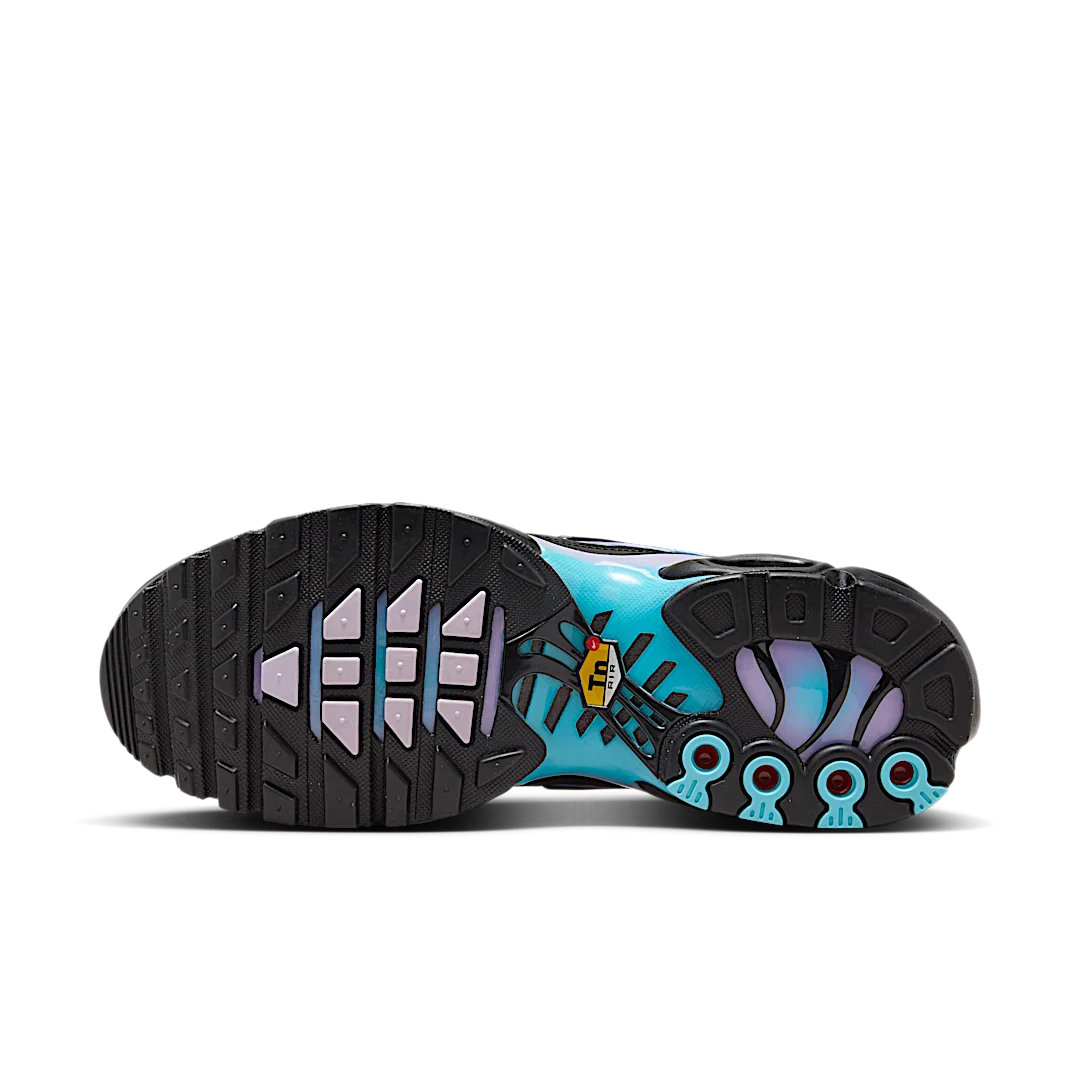 Nike Air Max Plus Black Hydrangeas, Black/Hydrangeas/Football Grey/Black (HV2510-001)