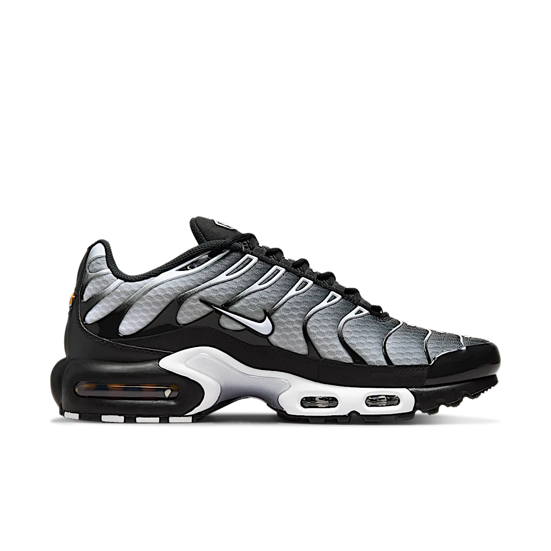 Nike Air Max Plus Black Silver White, Black/Metallic Silver/White (DM0032-003)
