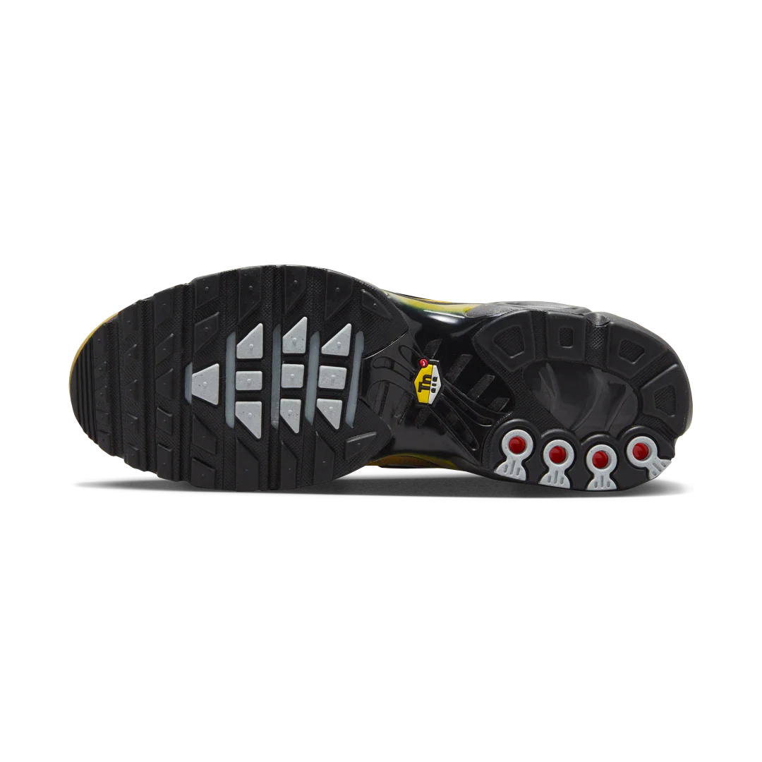 Nike Air Max Plus Bronzine, Bronzine/Medium Ash/Black (FB9722-700)