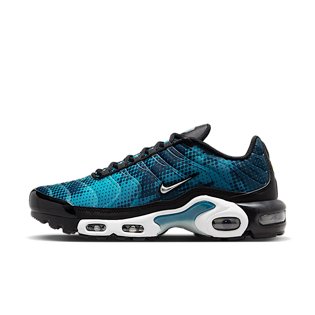Nike Air Max Plus Dot Pattern Black Dusty Cactus, Black/Dusty Cactus/White/Metallic Silver (HV6355-001)