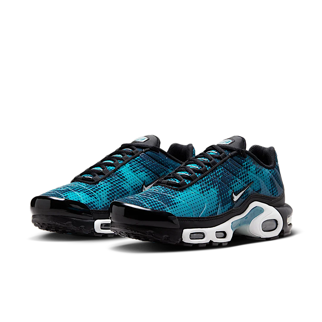 Nike Air Max Plus Dot Pattern Black Dusty Cactus, Black/Dusty Cactus/White/Metallic Silver (HV6355-001)