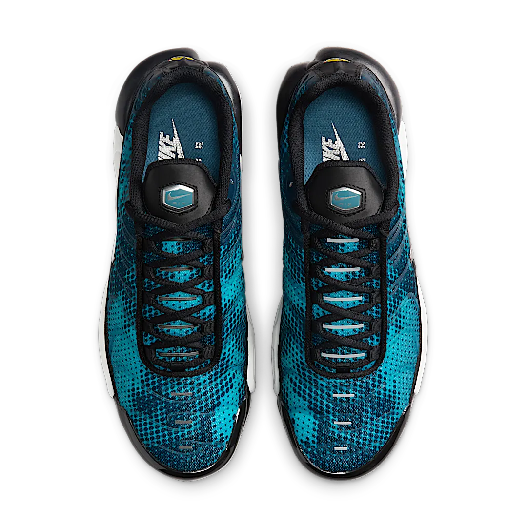 Nike Air Max Plus Dot Pattern Black Dusty Cactus, Black/Dusty Cactus/White/Metallic Silver (HV6355-001)