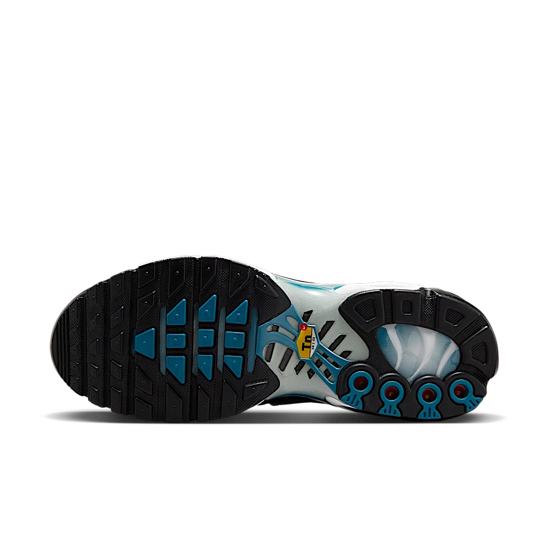 Nike Air Max Plus Dot Pattern Black Dusty Cactus, Black/Dusty Cactus/White/Metallic Silver (HV6355-001)