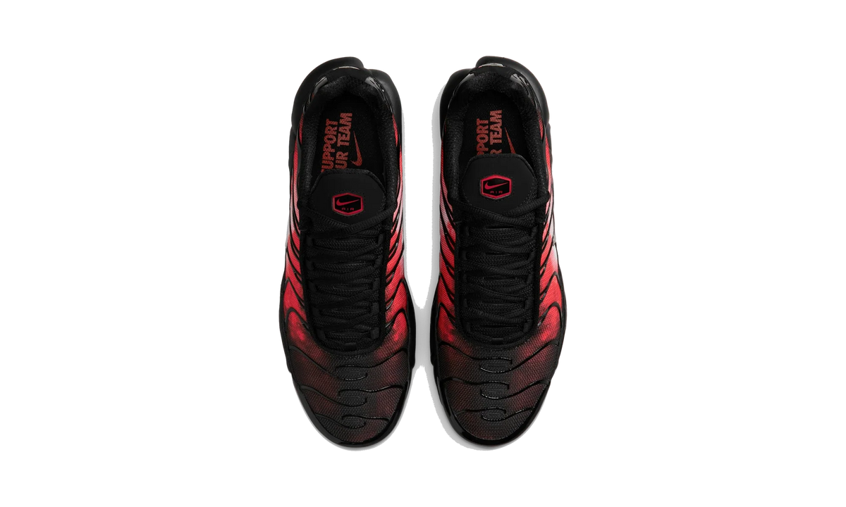 Nike Air Max Plus Flairemax