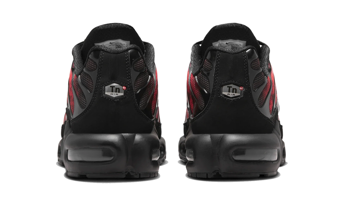 Nike Air Max Plus Flairemax