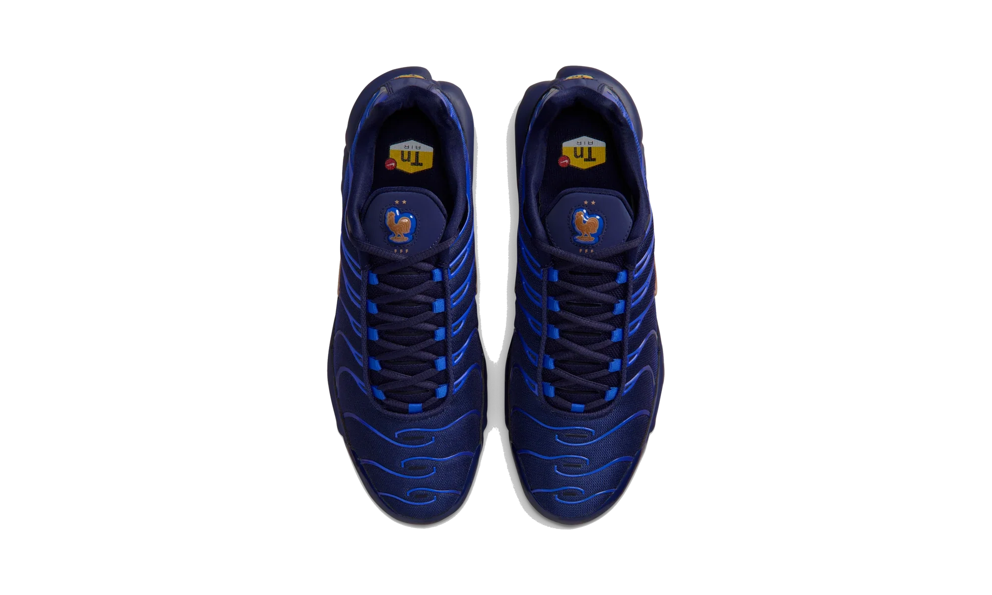 Nike Air Max Plus French Football Federation