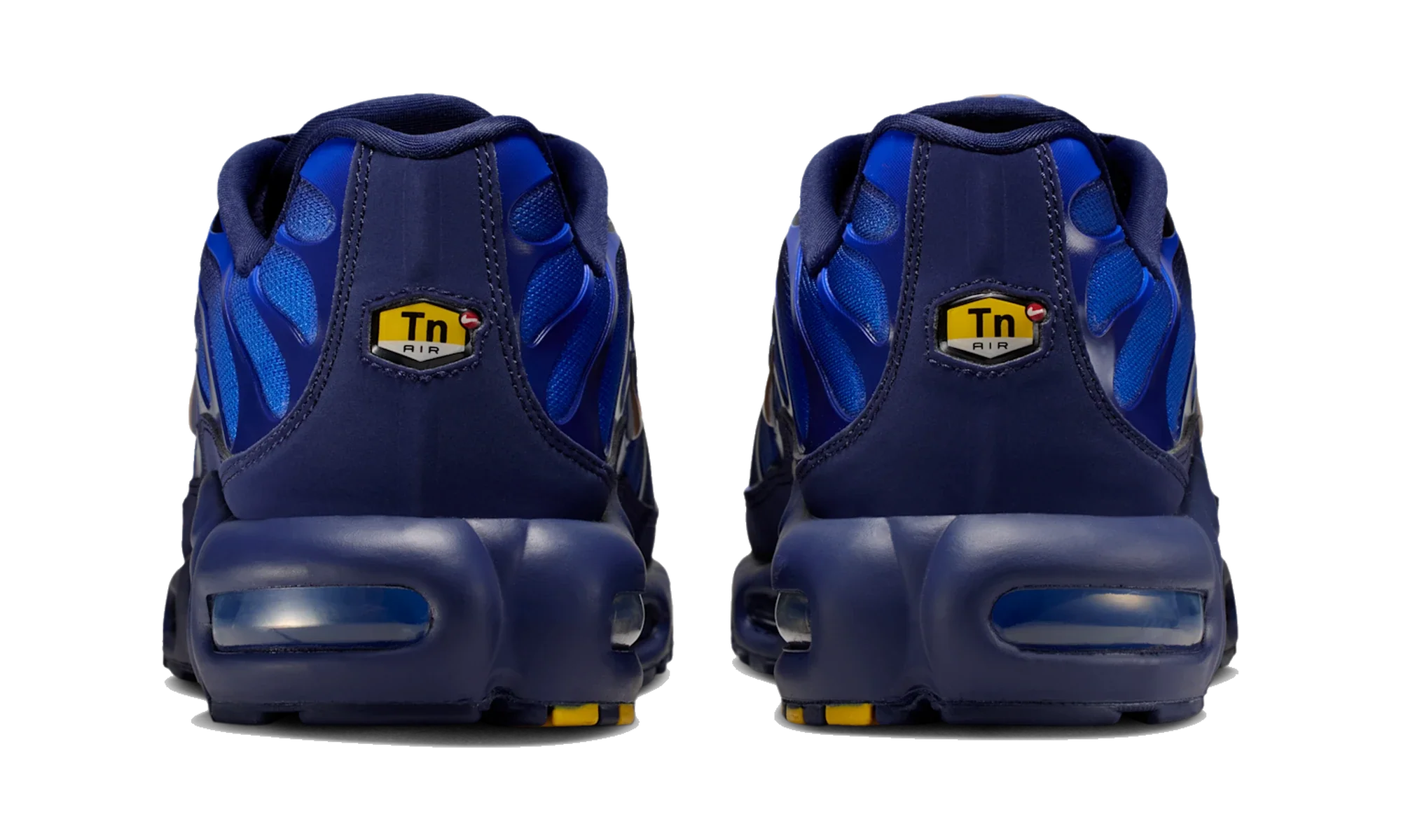 Nike Air Max Plus French Football Federation