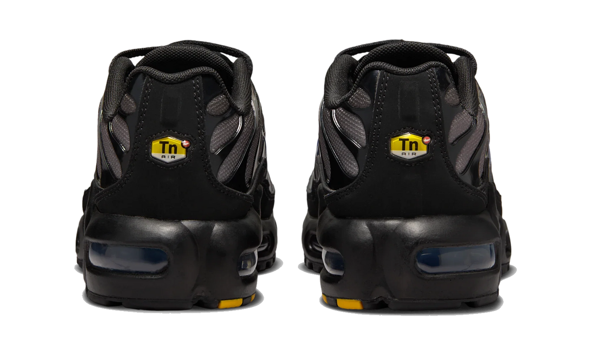Nike Air Max Plus GS Black Cave Stone