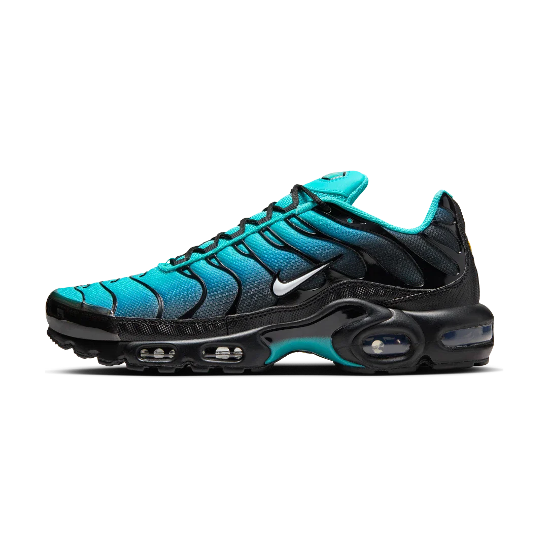 Nike Air Max Plus Light Retro Blue, Light Retro/Black/White/Summit White (DM0032-401)