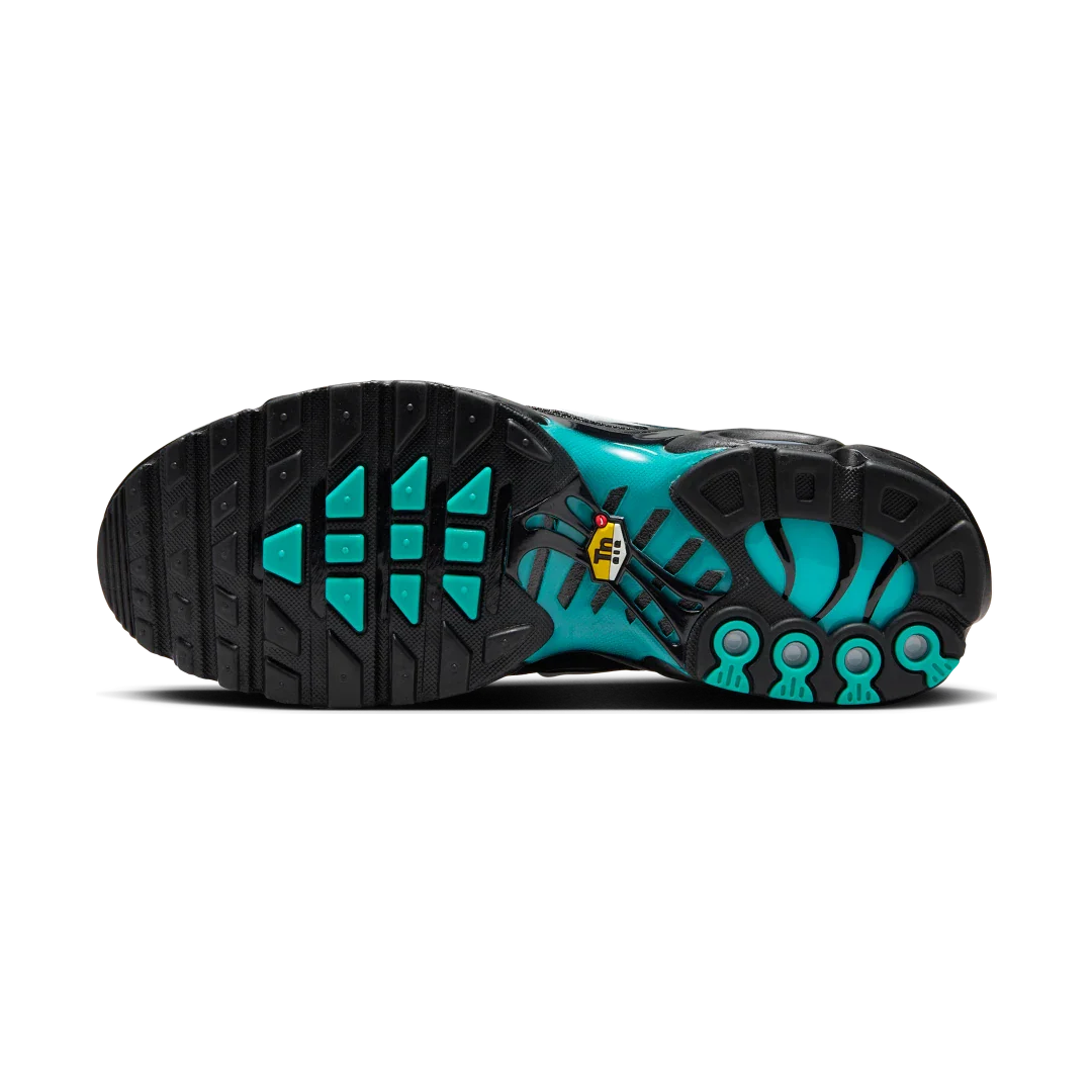 Nike Air Max Plus Light Retro Blue, Light Retro/Black/White/Summit White (DM0032-401)