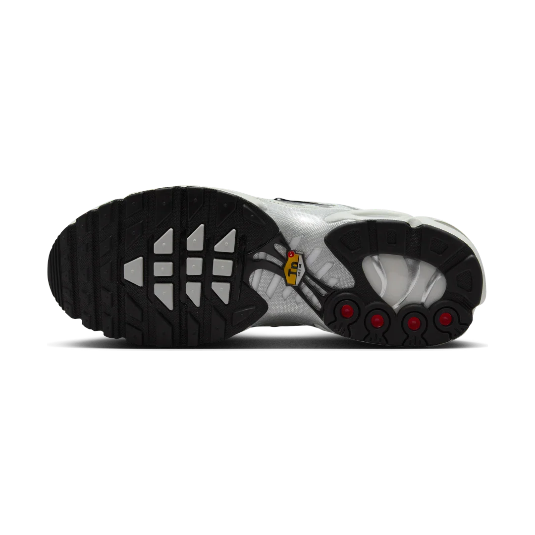 Nike Air Max Plus Light Silver, Light Silver/Chrome/Light Bone/Black (FV8480-002)