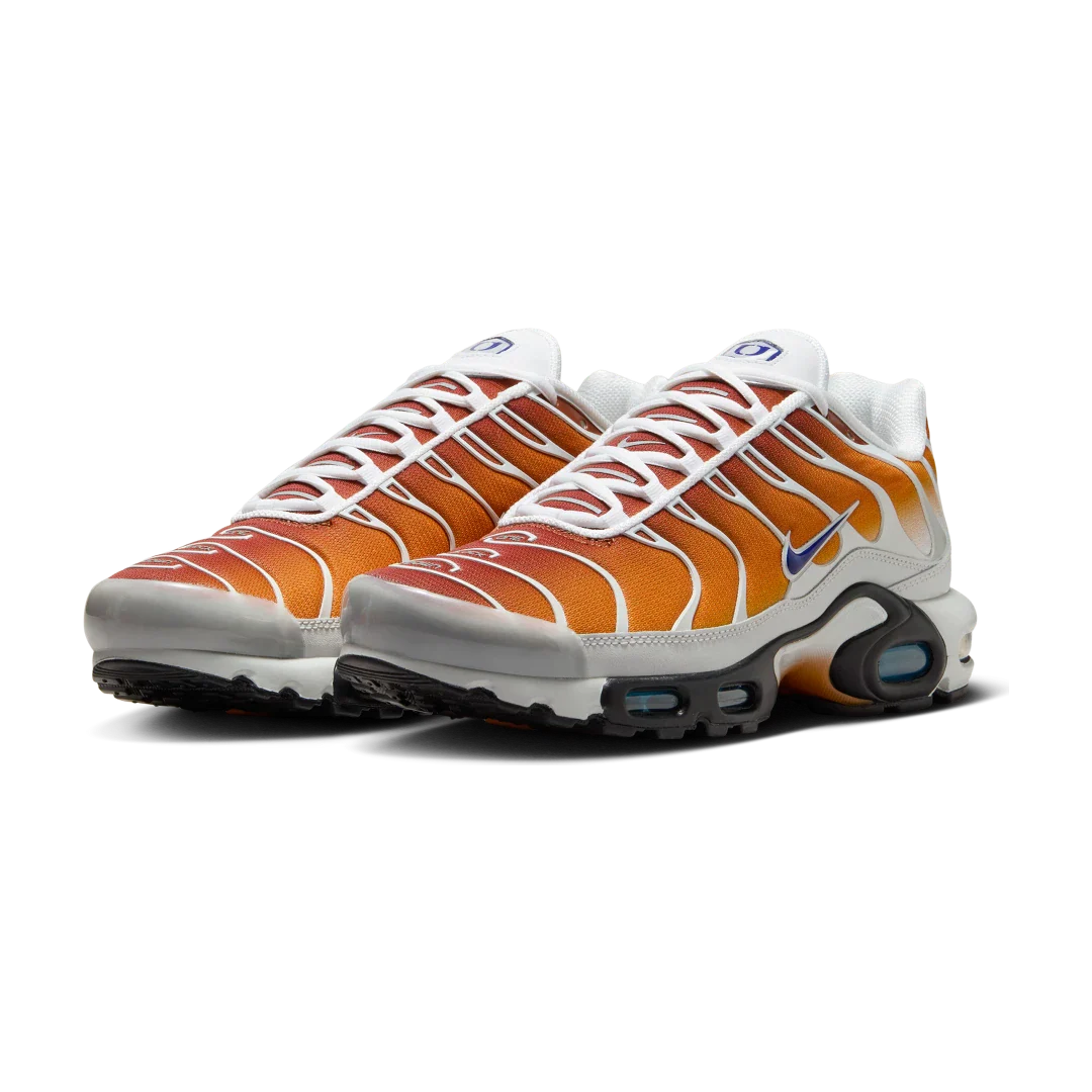 Nike Air Max Plus One Block Down Chutney, Chutney/Photon Dust/Regency Purple (FZ3308-700)