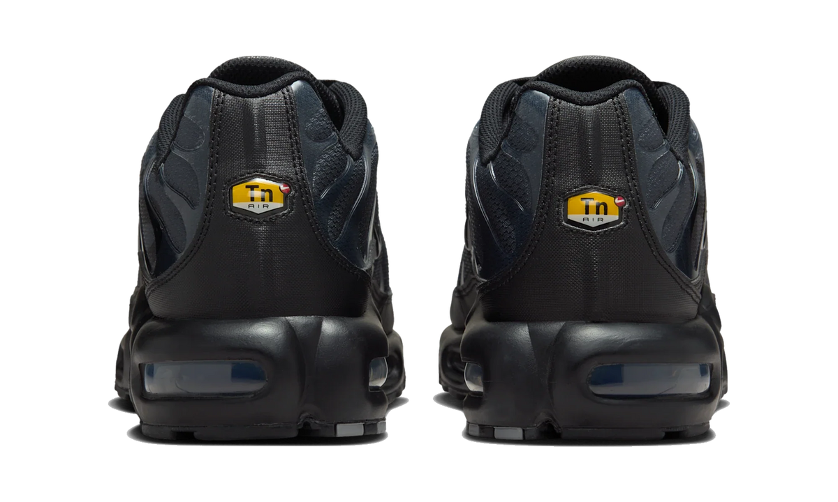 Nike Air Max Plus PSG Paris Saint-Germain Black Particle Grey