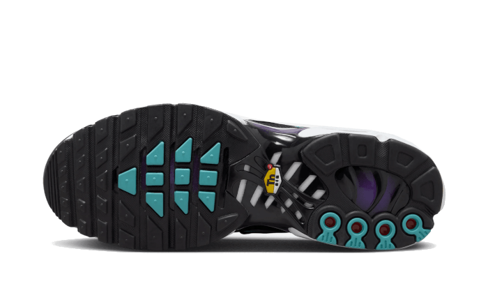 Nike Air Max Plus Reverse Grape, Disco Purple/Black-Teal Nebula-Space Purple-White-Metallic Silver (FQ2415-500 / FQ2412-500)