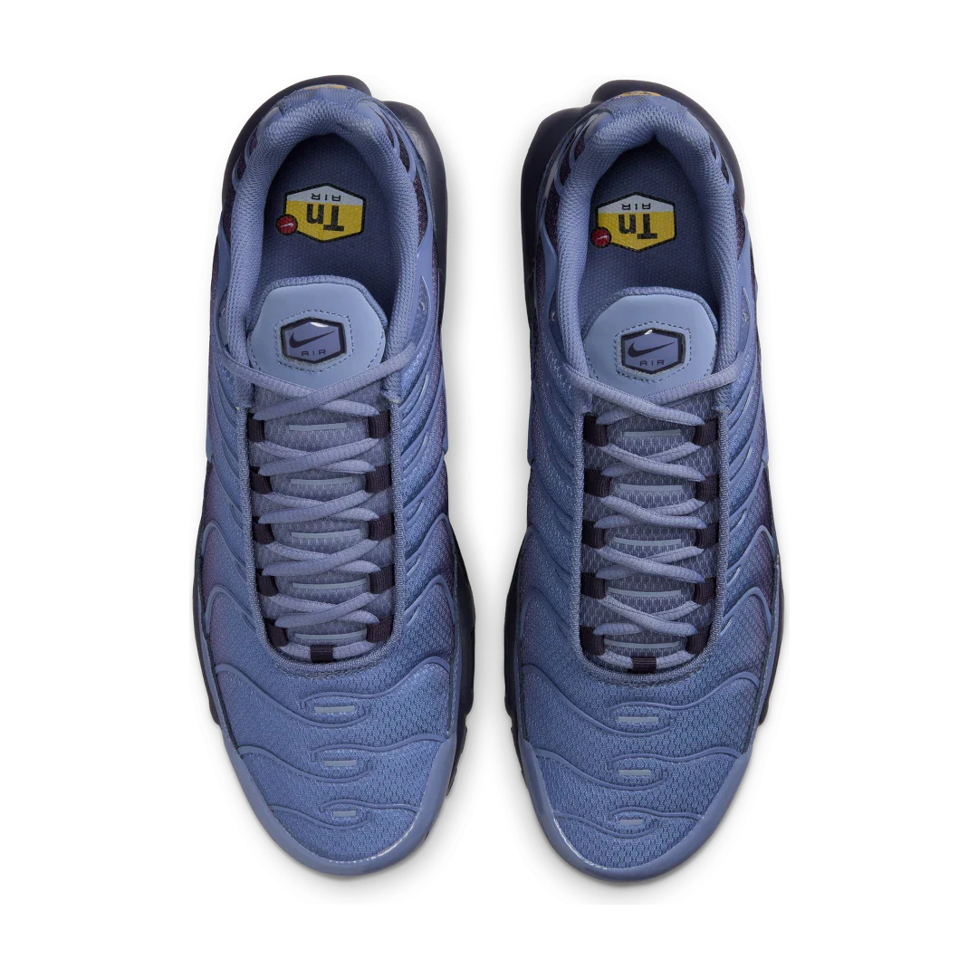 Nike Air Max Plus World Indigo, World Indigo/Cave Purple/Black/World Indigo (DM0032-404)