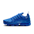 Nike Air VaporMax Plus Game Royal Metallic Silver