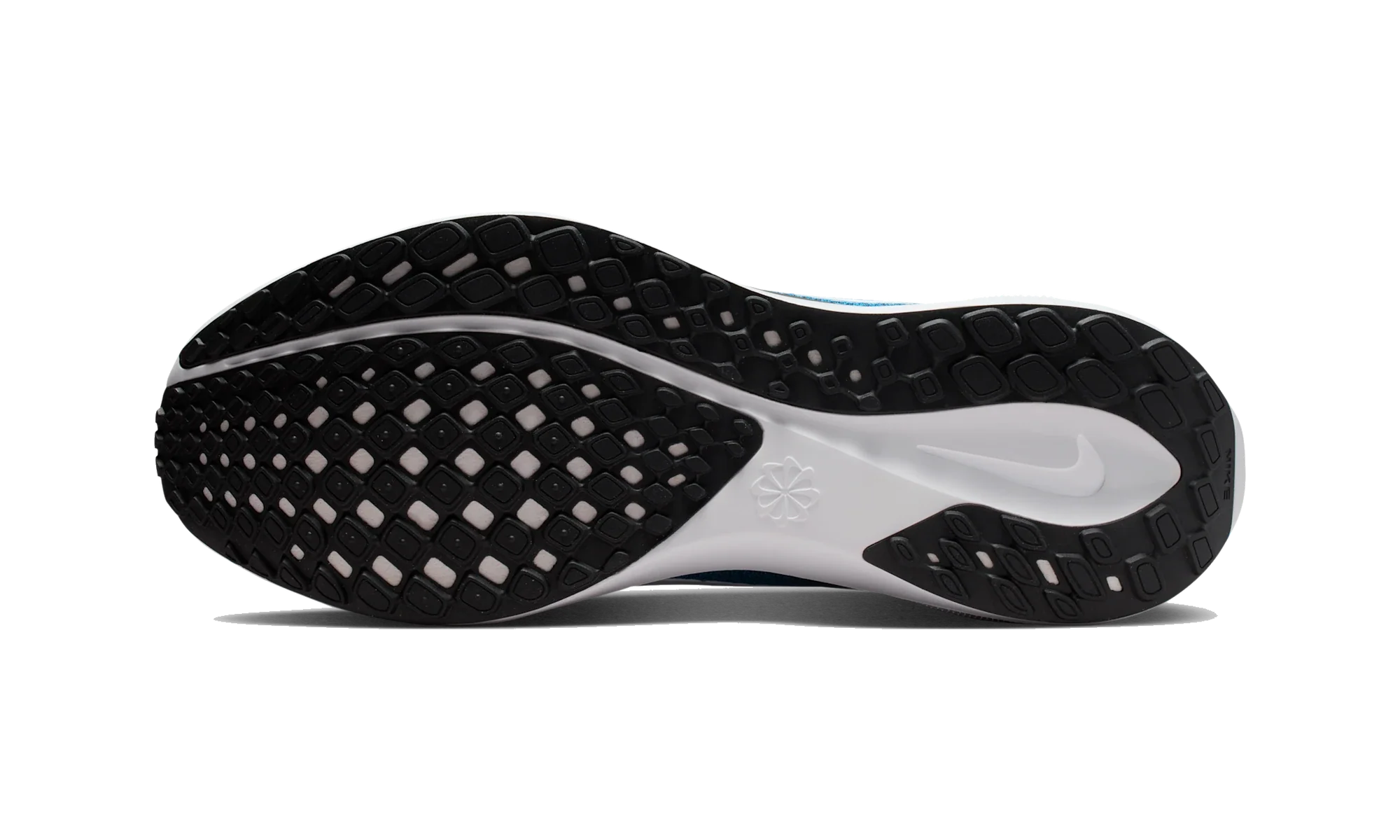 Nike Air Zoom Pegasus 41 Carolina Panthers (2025)