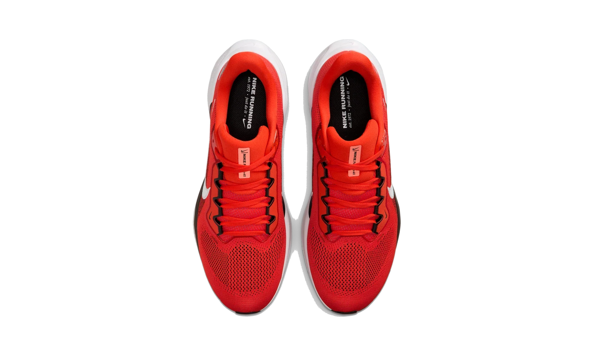 Nike Air Zoom Pegasus 41 Cleveland Browns (2025)