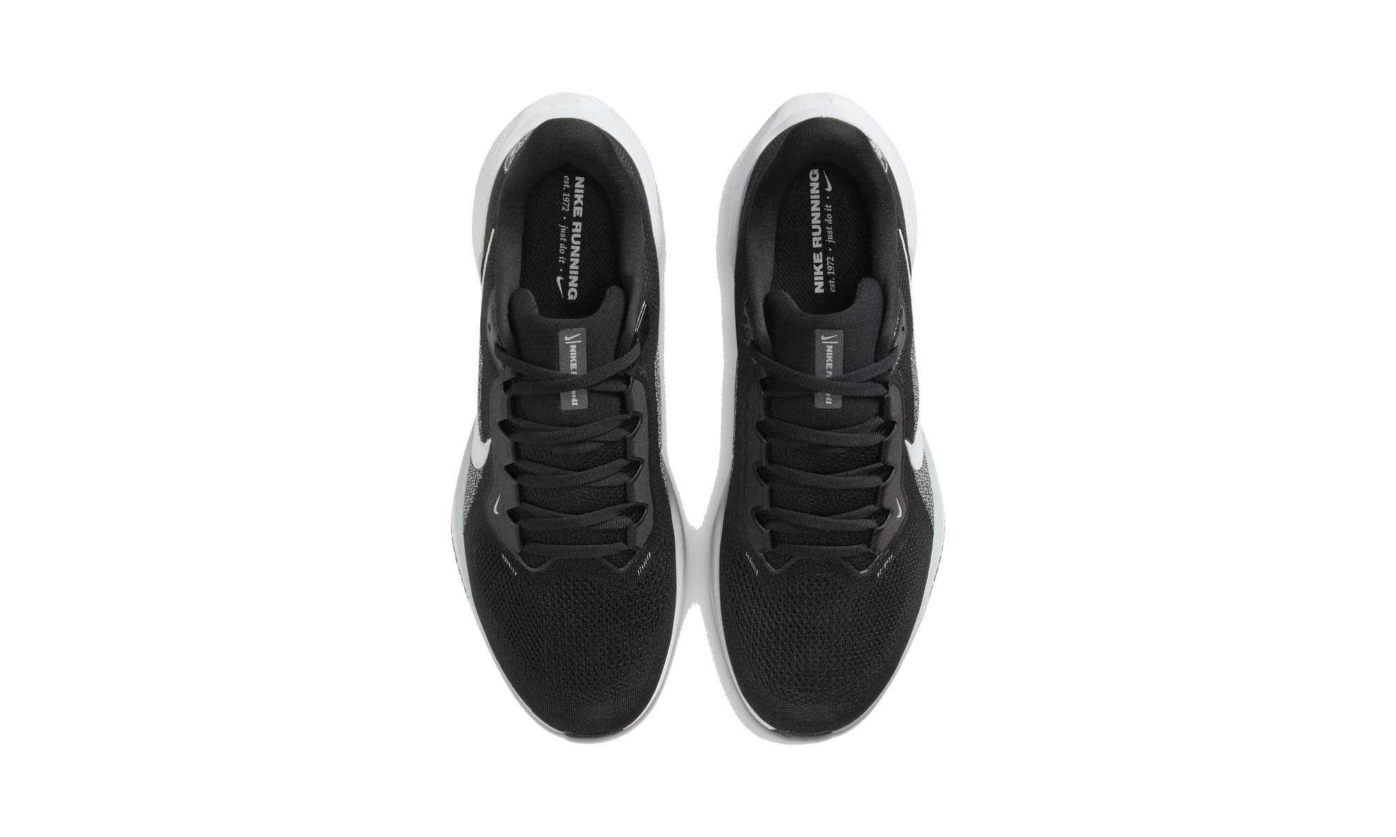 Nike Air Zoom Pegasus 41 Las Vegas Raiders (2025)