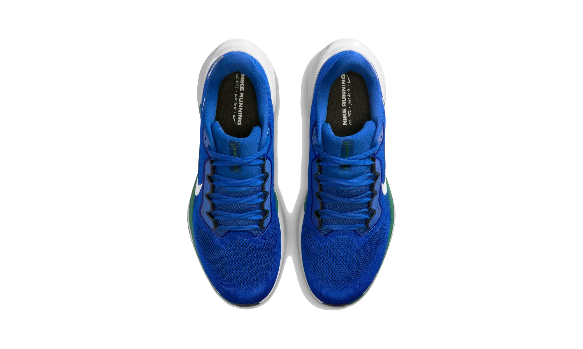 Nike Air Zoom Pegasus 41 Seattle Seahawks (2025)