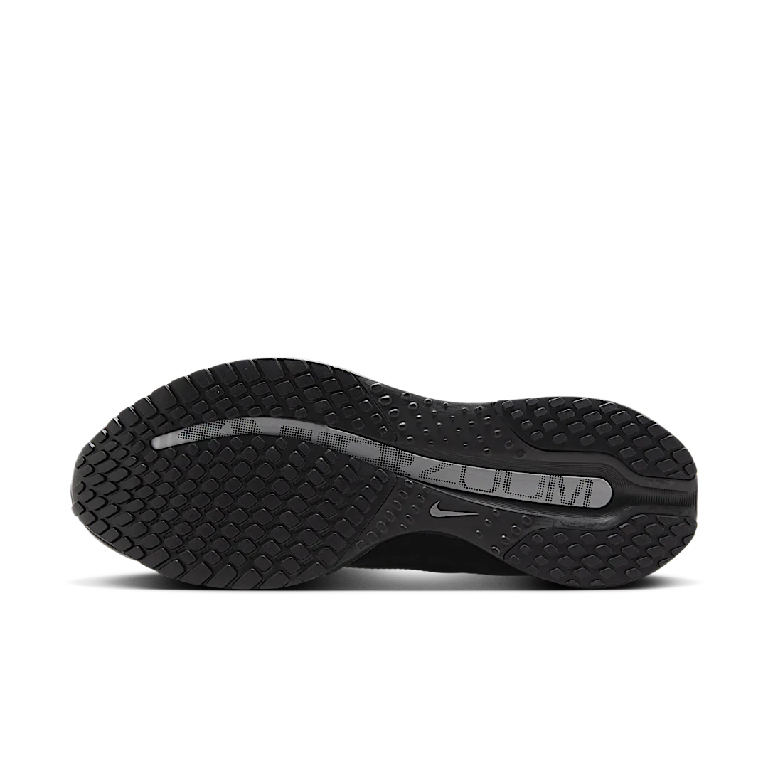 Nike Air Zoom Pegasus Premium Black Metallic Silver, Black/Black/Metallic Silver (HQ2592-005)