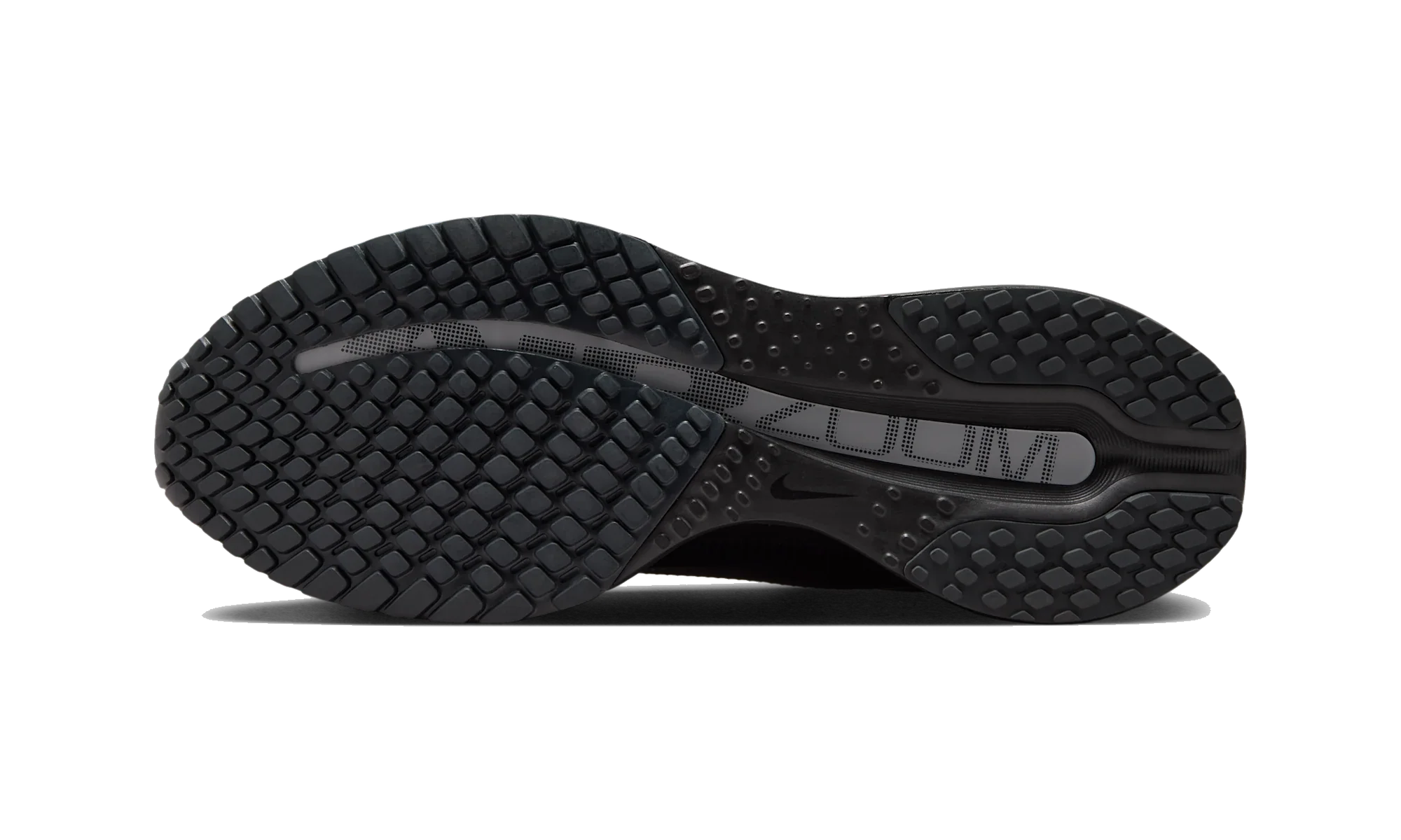 Nike Air Zoom Pegasus Premium SP Black Metallic Silver
