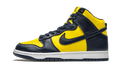 Nike Dunk High Michigan (2020)
