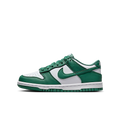 Nike Dunk Low Bicoastal
