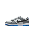 Nike Dunk Low Cool Grey Light Photo Blue