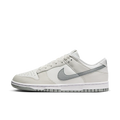 Nike Dunk Low Retro Summit White Light Smoke Grey
