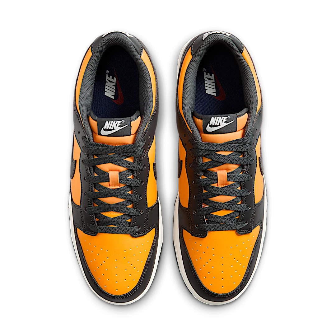 Nike Dunk Low Retro Sundial Anthracite, Sundial/Anthracite-Sail (HF5441-700)