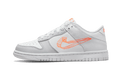Nike Dunk Low SE 3D Swoosh Pure Platinum Total Orange