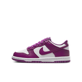 Nike Dunk Low Viotech