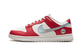 Nike Dunk Low WNBA 30th Anniversary